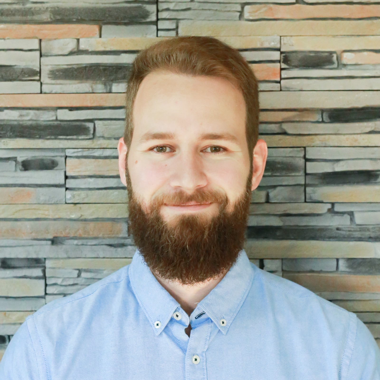 Michael Schweiger, Webentwickler